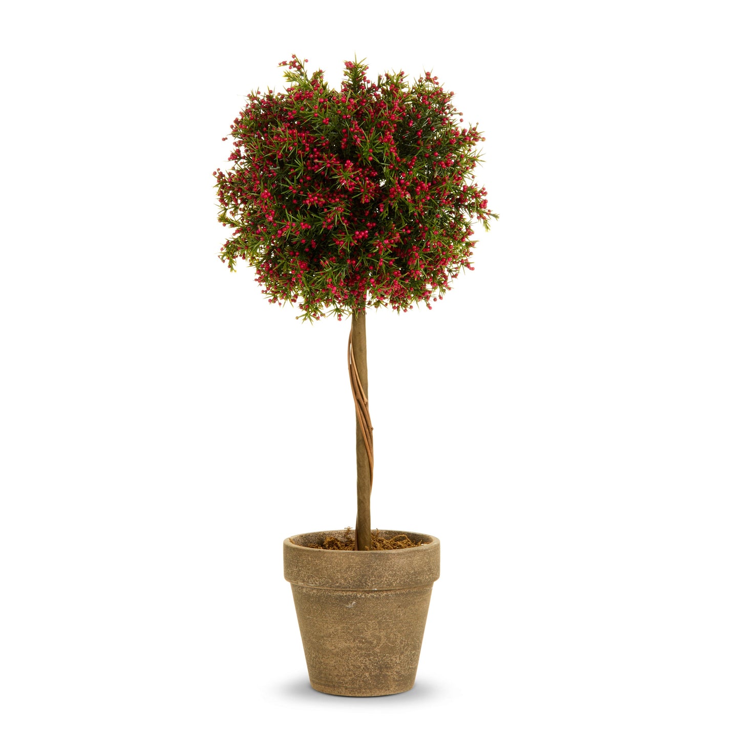 15" Red Pepper Berry Topiary