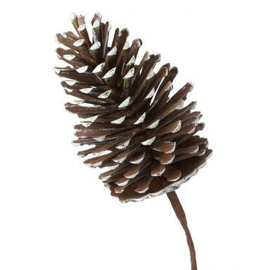 13" Pick Long Leaf Pine Cone UV Proof