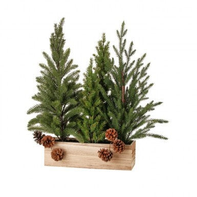 24" Mini Tree Grove IN Wood Box