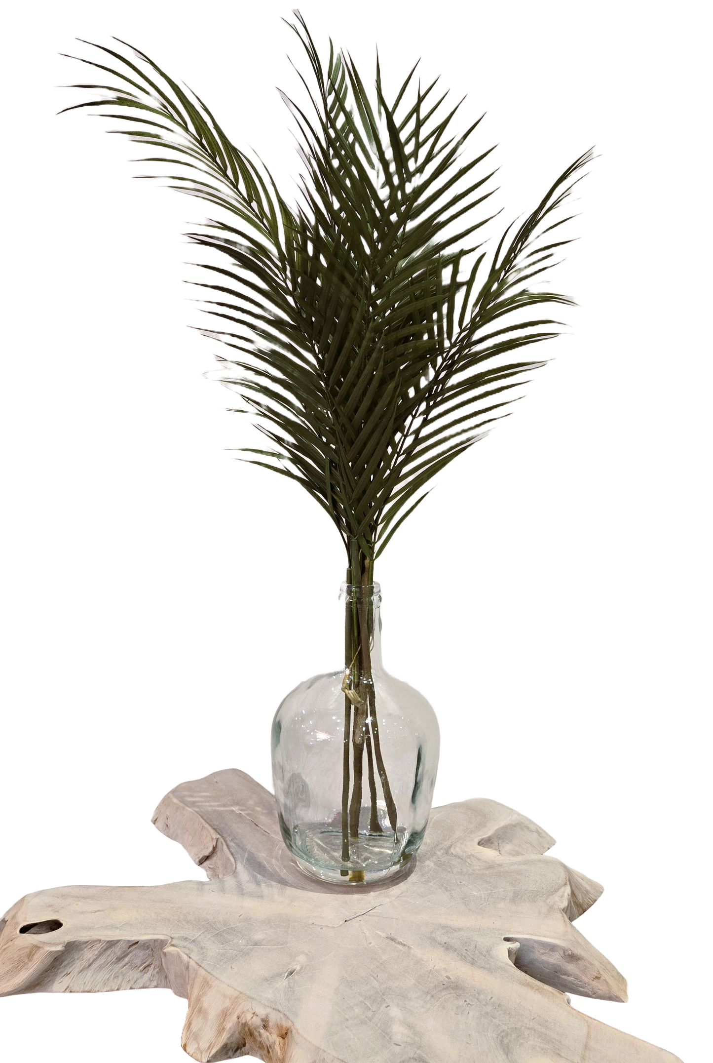 32.5" Sword Fern IN Glass Vase