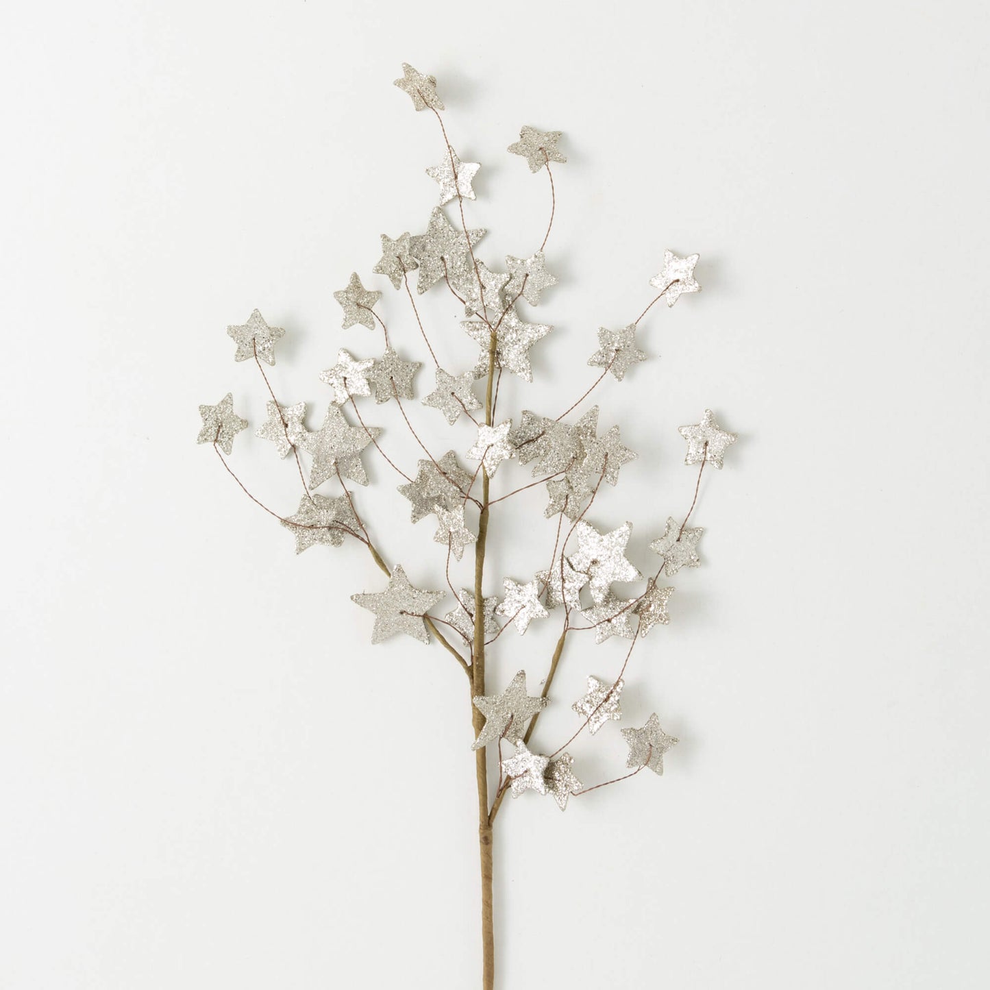 28" Star Spray