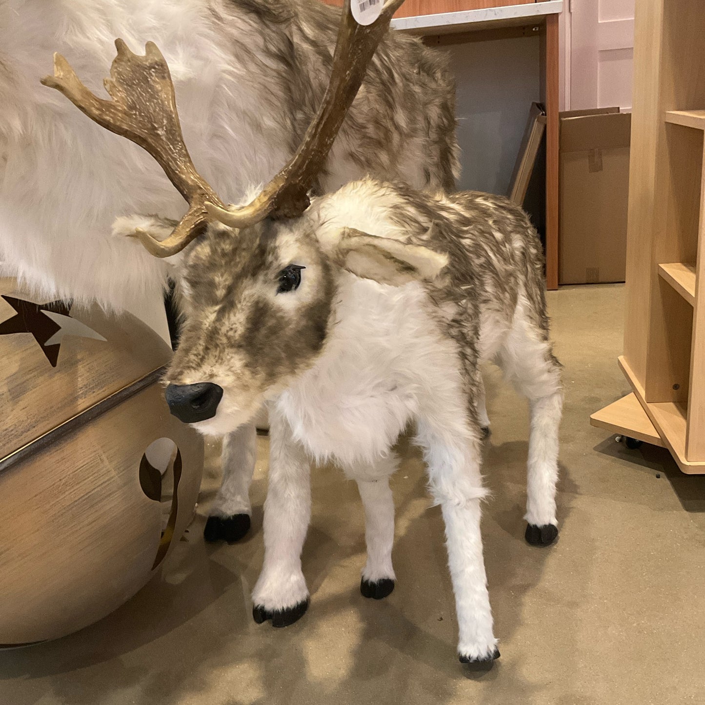 48"L Holiday Elk, K/D