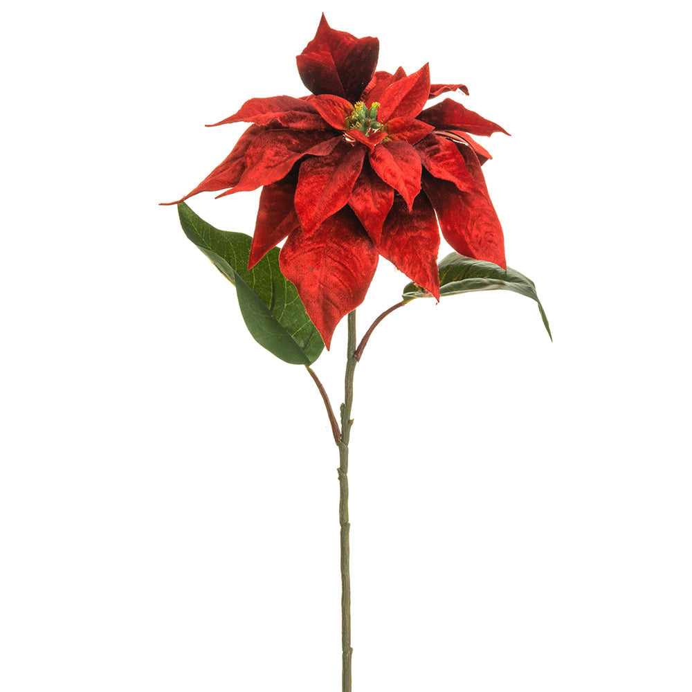ALLSTATE 498822D