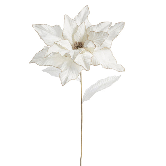 32" Ivory Poinsettia Stem 18" wide