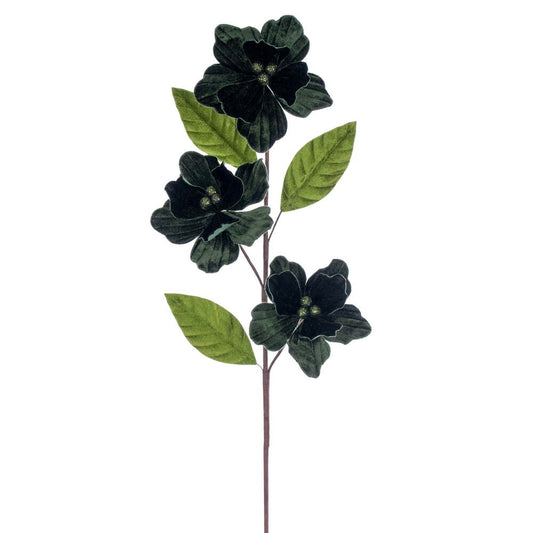 Vickerman B628864
