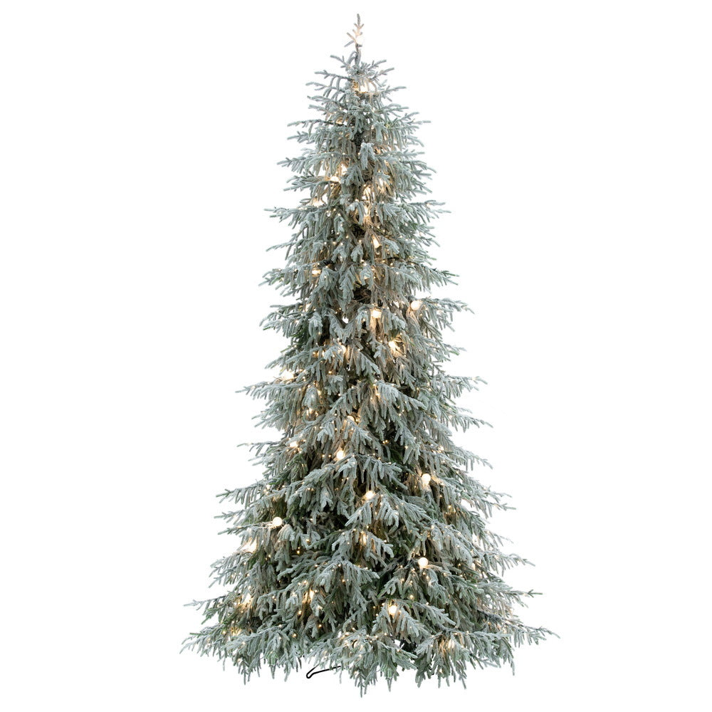 Vickerman X766207