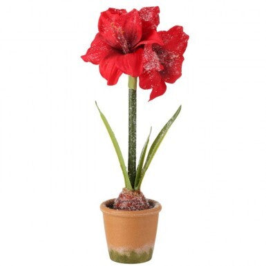 15" Frosted Potted Mini Amarylis