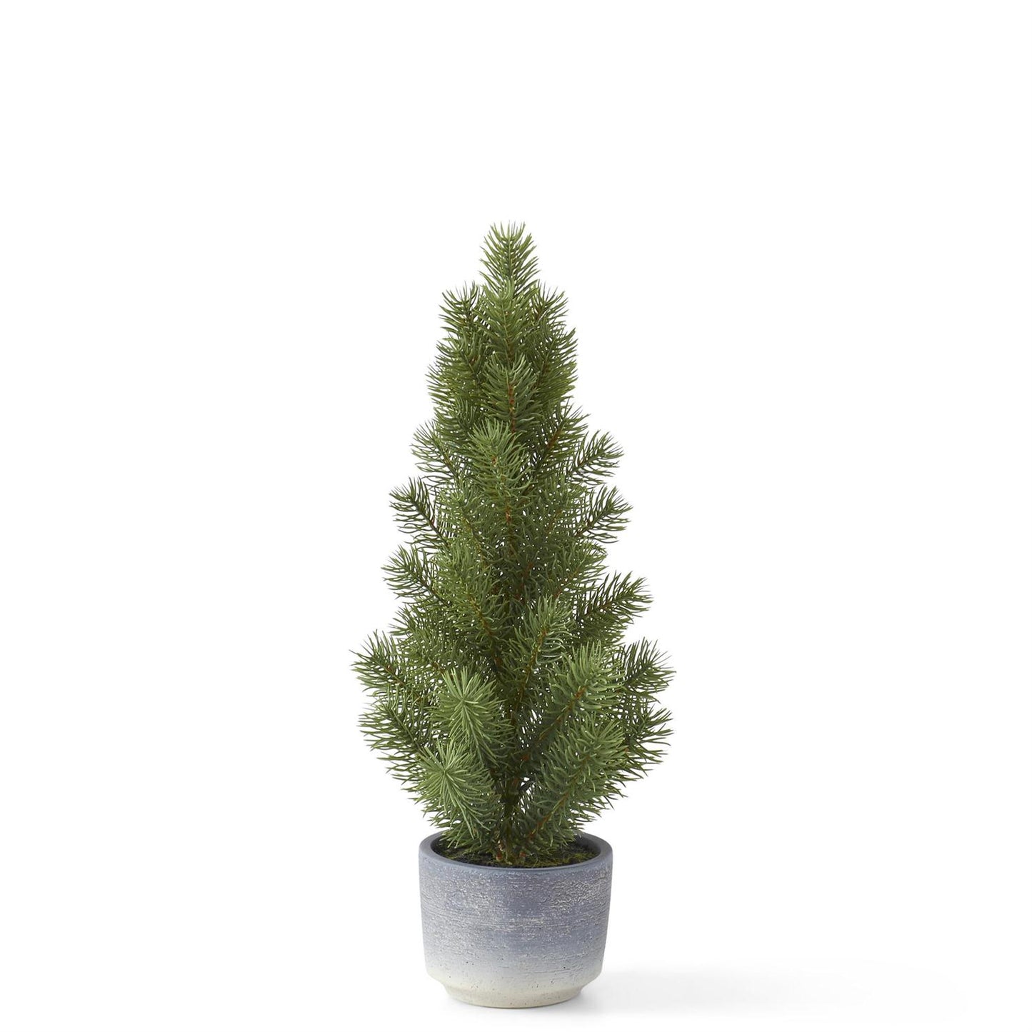 Tree Pine IN Gray Ombre Pots