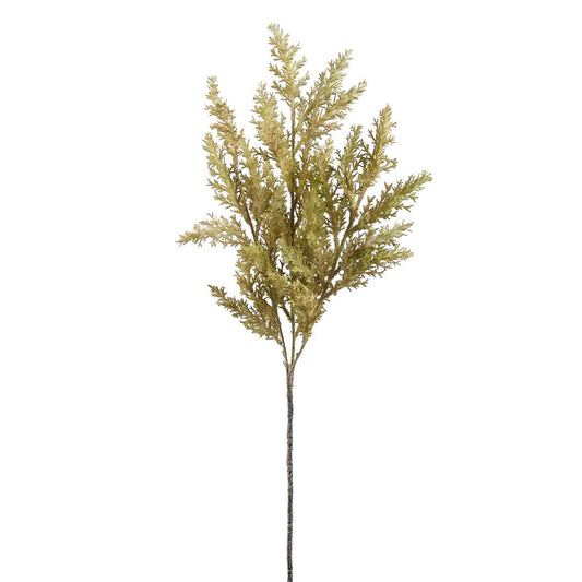 28" Spray Pampas Grass, Green
