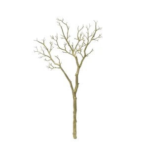 41''  Manzinita  Branch,Gold