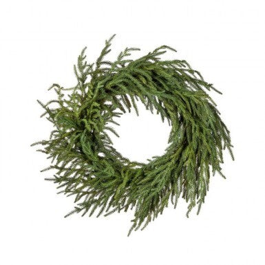 24" Wreath Norfolk Pine Just Cut