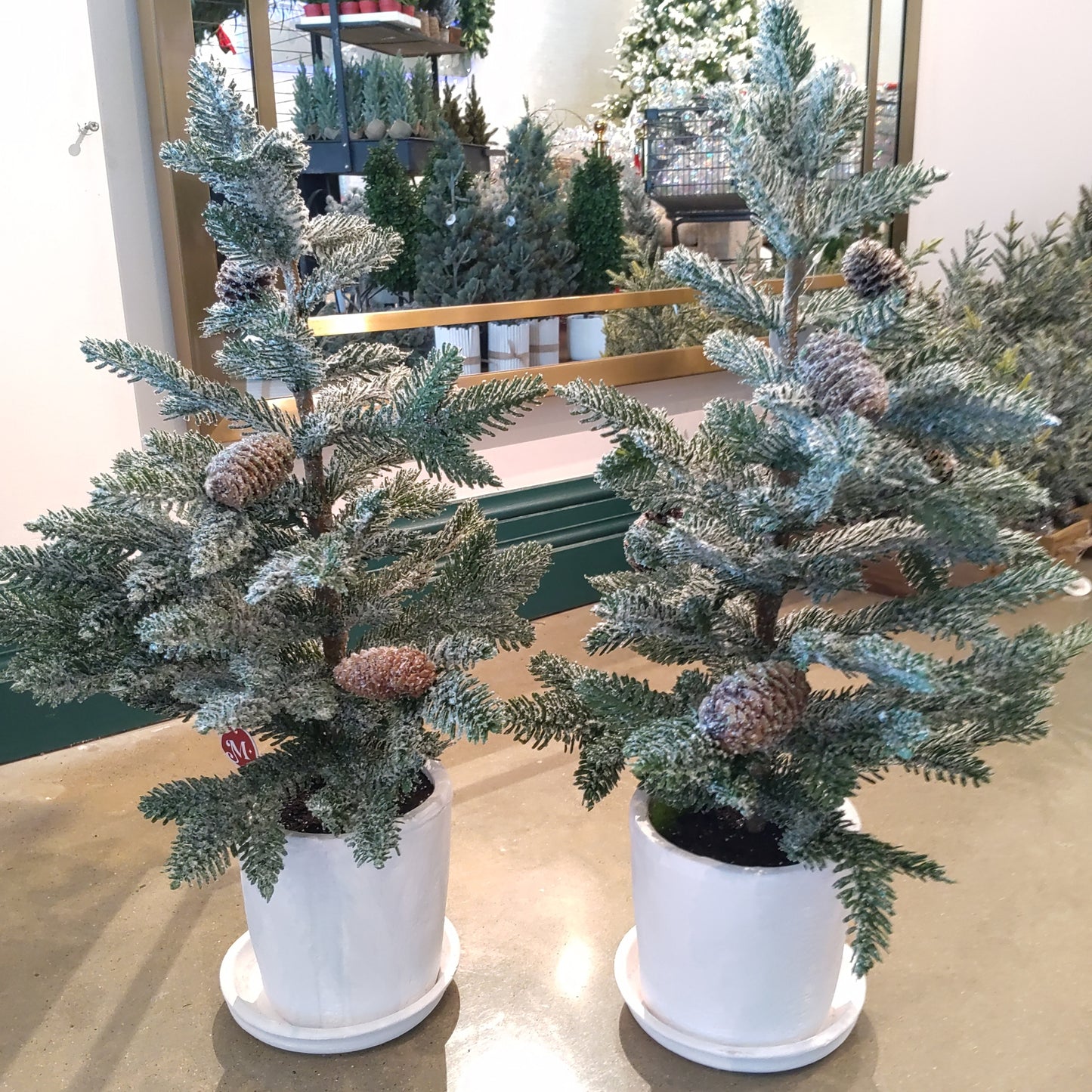 26.5"Sn Pine Tree W/Cone(P)