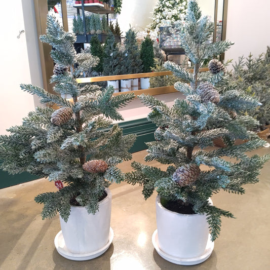 26.5"Sn Pine Tree W/Cone(P)