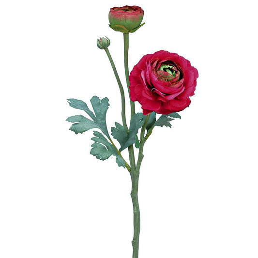 15" Ranuculus Spray with Bud, Two Tone Beauty