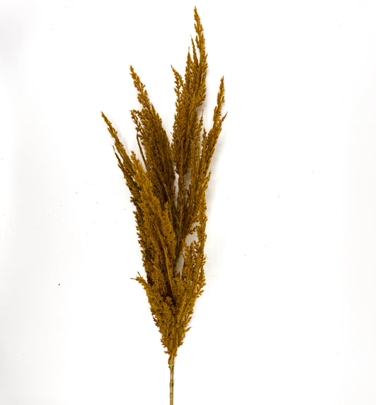 36" Spray Pampas Grass Brown