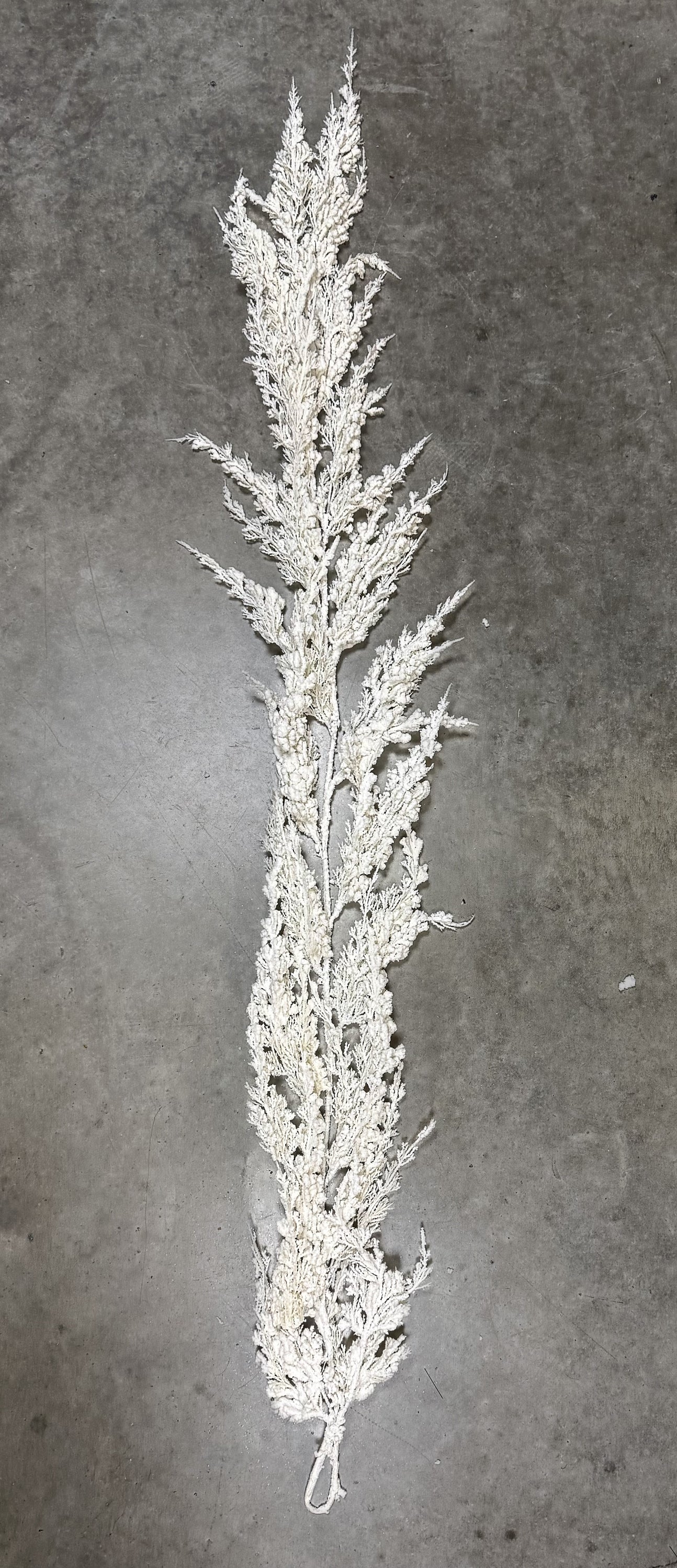 6' Snowed Garland WH