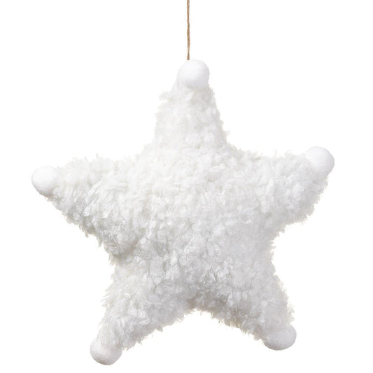 12 Star Ornament WH/BE