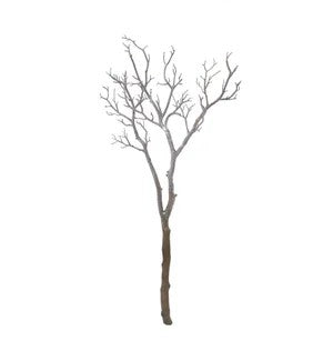 41''  Manzinita  Branch,White