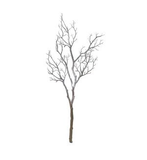 51''  Manzinita  Branch,White