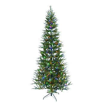 7.5 Ft. Majestic Fraser Fir