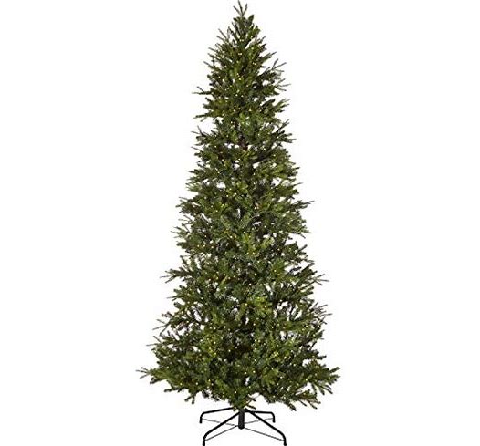 Snake Light Green Slim Spruce Tree