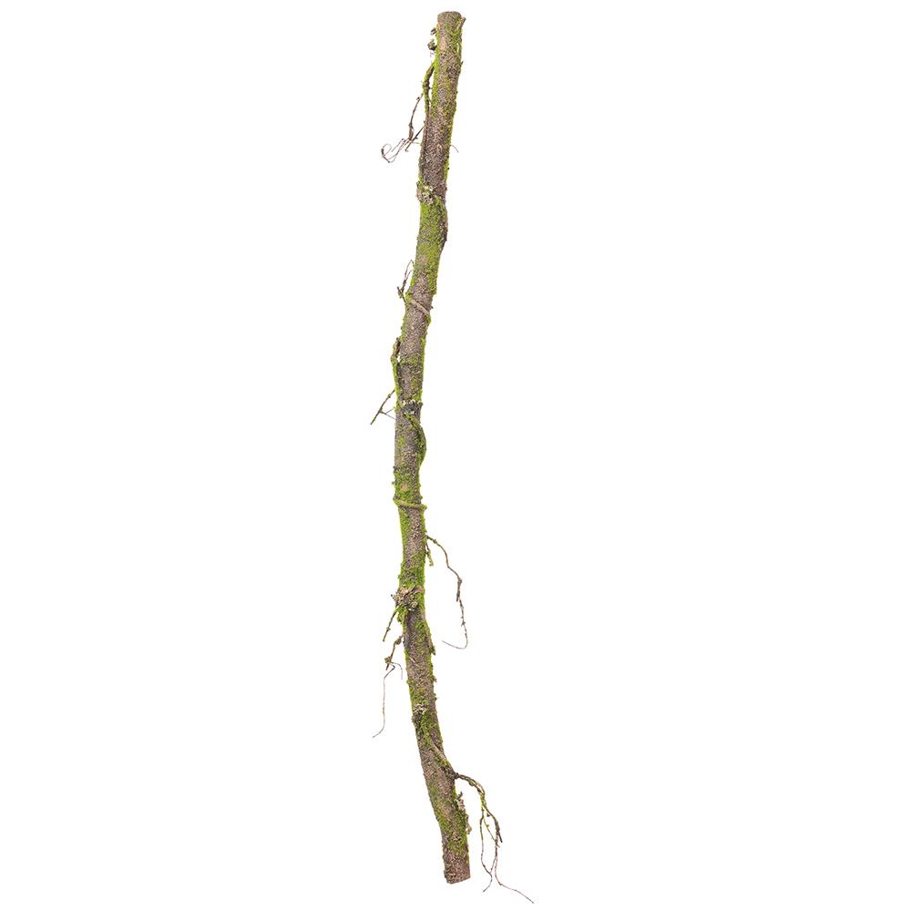 56" Moss Vine, Green