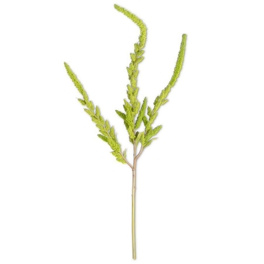 37" Stem Green Amaranthus