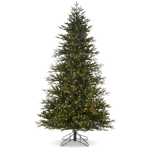 Nordic Fir with Brilliant LED Lights