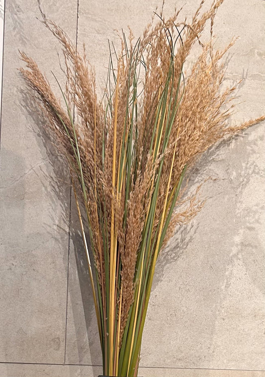 36" Pampas Grass Bush